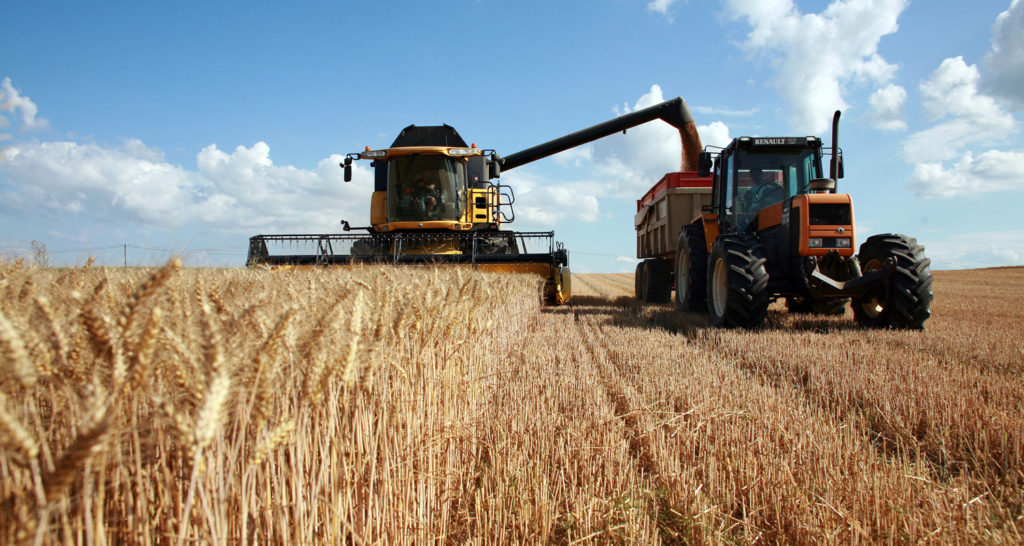 160 mil toneladas de trigo são negociadas em leilões realizados pela Conab