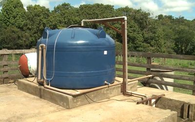 Bovinocultores podem economizar R$ 1,45 bi anuais com biodigestores