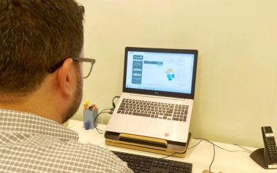 Fundecitrus lança ferramenta digital contra psilídeo