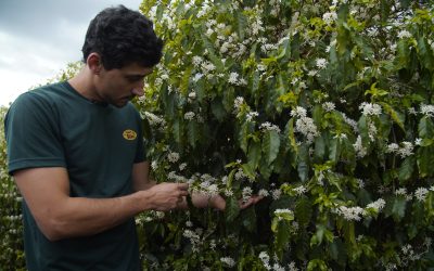 Êxodo Urbano: Jovens trocam cidade por vida no campo