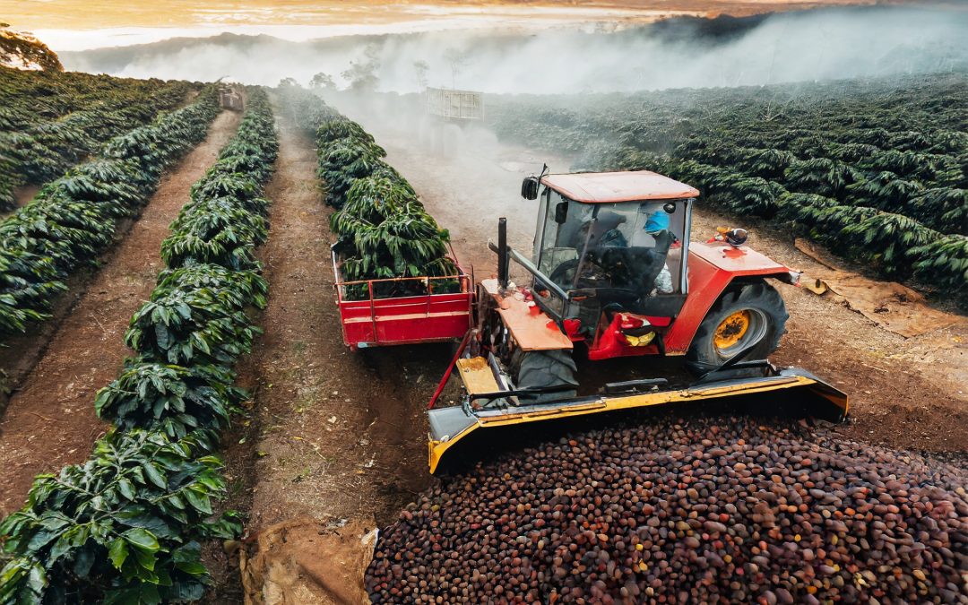 Fevereiro deve marca chuvas nas principais regiões cafeeiras