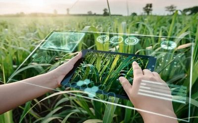 Agricultura digital: o futuro da agricultura brasileira