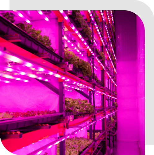 Fazenda Vertical: alternativa para contornar consequências das mudanças climáticas