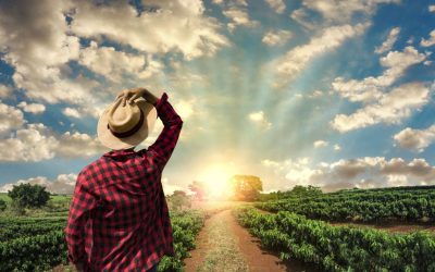 La Niña: entenda impactos do fenômeno para o Brasil