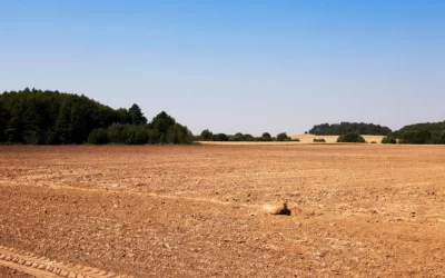 Fim do El Niño? Previsões apontam estiagem no Centro-Sul do país