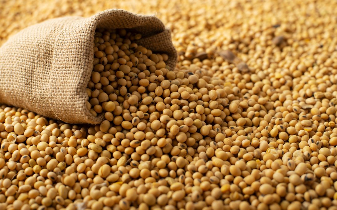 Embrapa apresenta Soja Baixo Carbono durante Show Rural