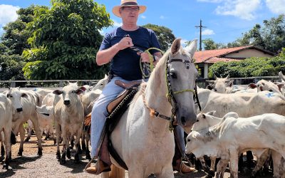 Uso da Inseminação Artificial para superar desafios na pecuária