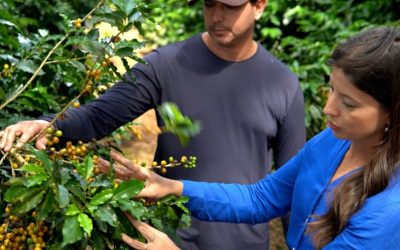 JOINER®: A mudança no controle integrado de pragas na cafeicultura