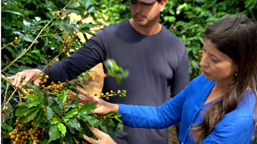 JOINER®: A mudança no controle integrado de pragas na cafeicultura