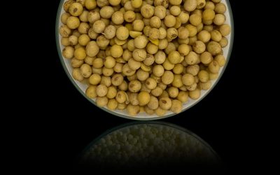 Tecnologia para redução de poeira de grãos e prevenção de acidentes