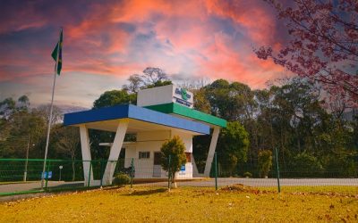 Embrapa suínos e aves apresenta agenda de pesquisa na Câmara Setorial