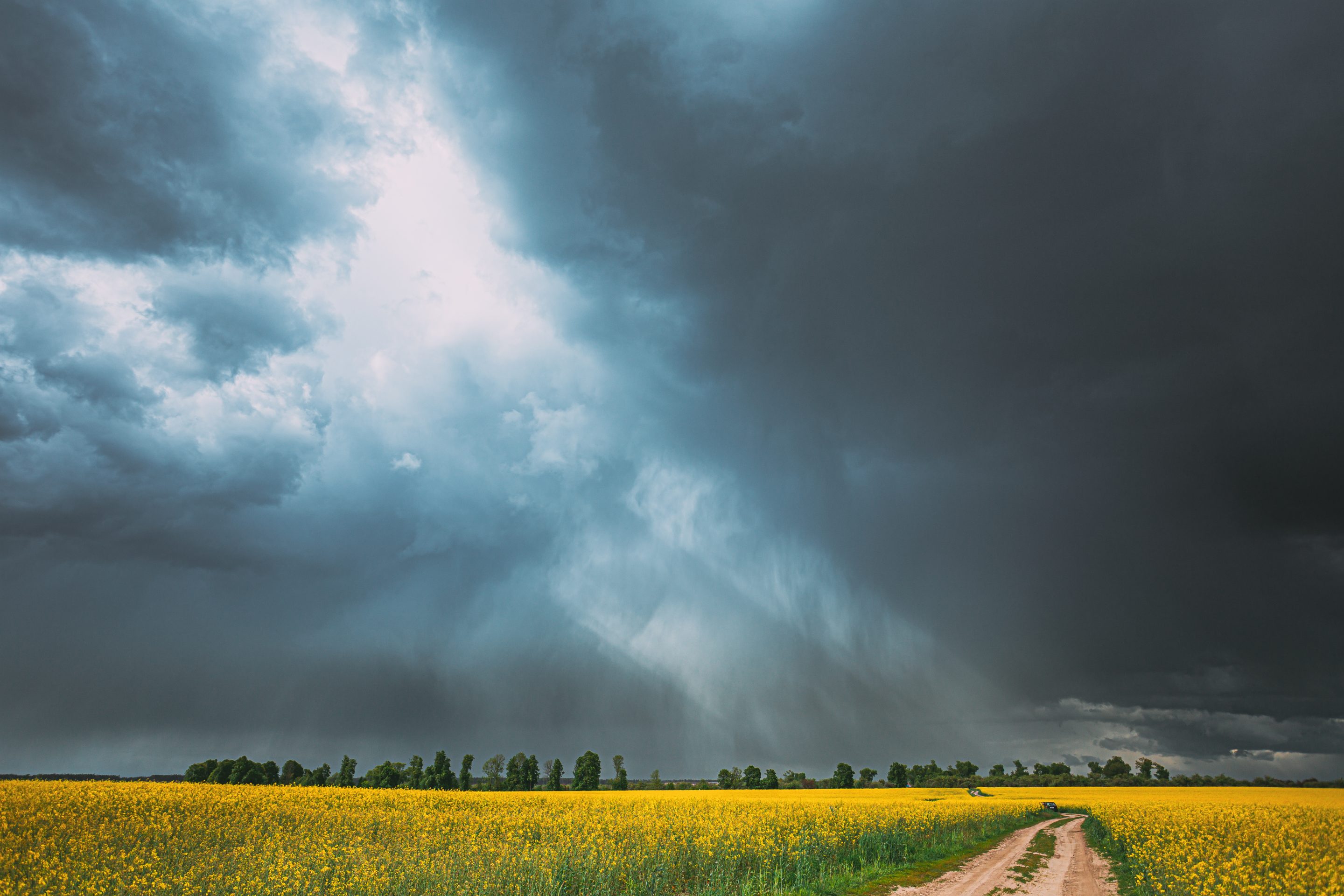 Dramatic Rain Sky With Rain Clouds On Horizon Above Rural Landscape Camola Colza Rapeseed Field. Country Road. Agricultural And Weather Forecast Concept