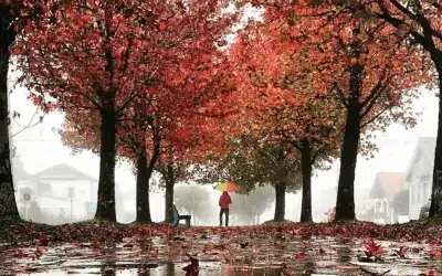 Inmet indica chuva no Norte e Nordeste em junho