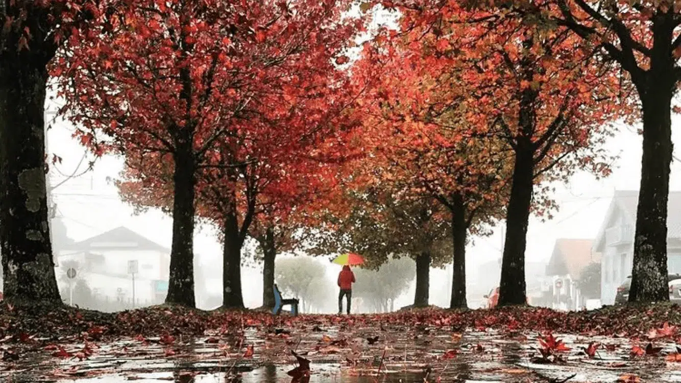 29043BAC-3BF1-4486-9385-702D2F12ACA5