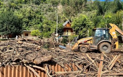 Embrapa traça plano emergencial para apoiar o Rio Grande do Sul