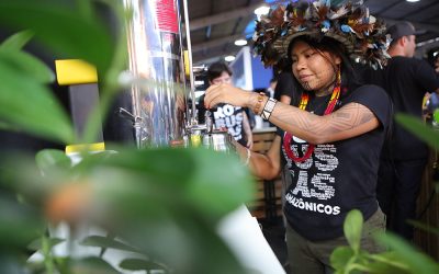 CAFÉ: indígenas de Rondônia conquistam melhoria de renda