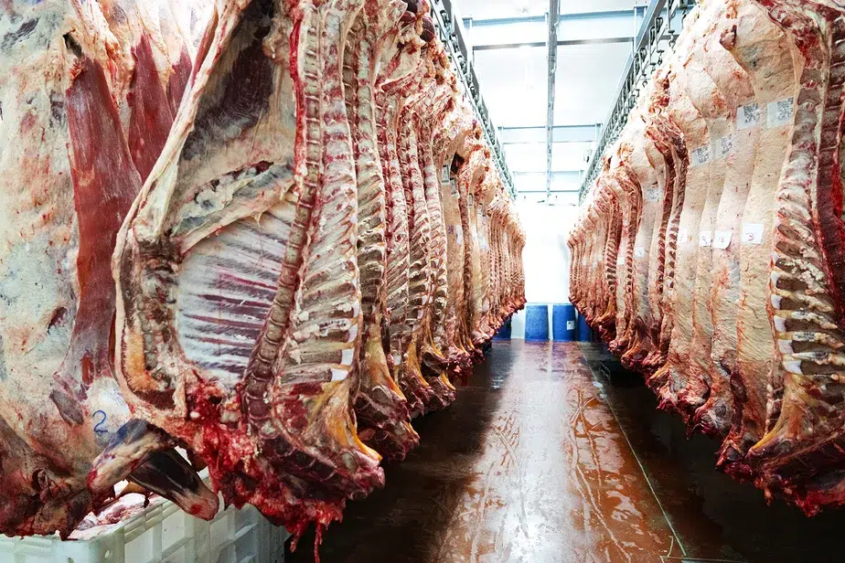 Taxação de carnes? Entenda possíveis mudanças