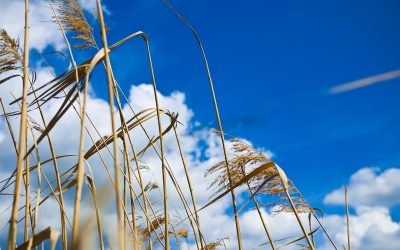 Semana continua com tempo seco em grande parte do país