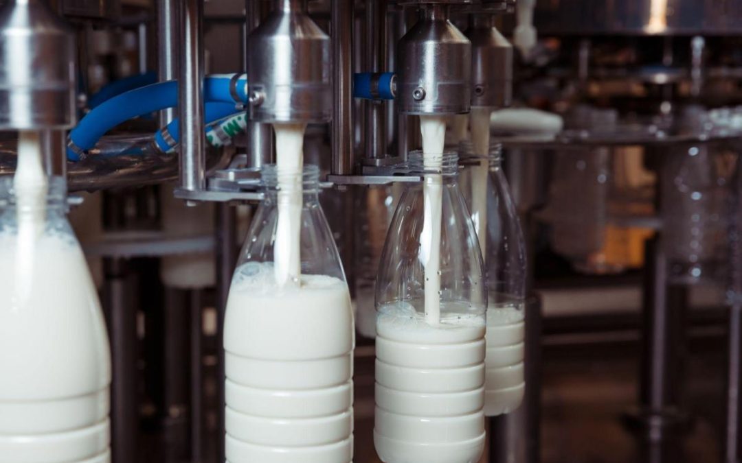 LEITE: preço pago ao produtor registra queda novamente em novembro