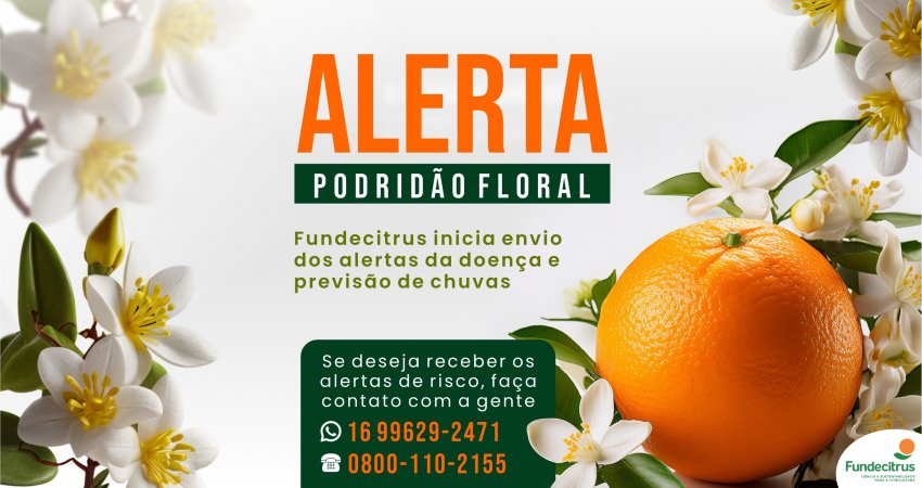 AlertaZPodridoZFloralZ-Zsite
