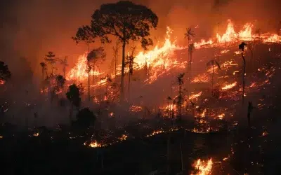 Brasil em chamas durante o fim de semana