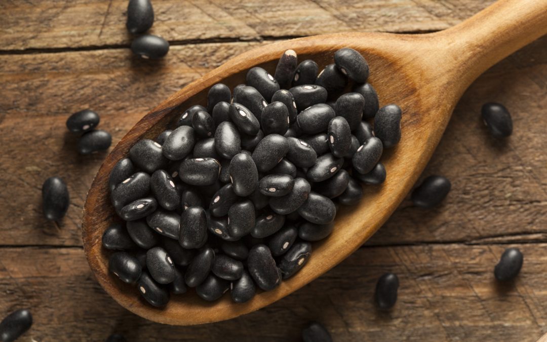 Mercado de feijão mostra sinais de recuperação após queda