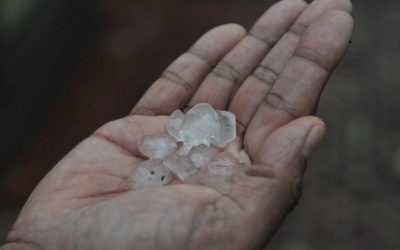 Chuva de granizo surpreende produtores de café em MG e SP após seca severa
