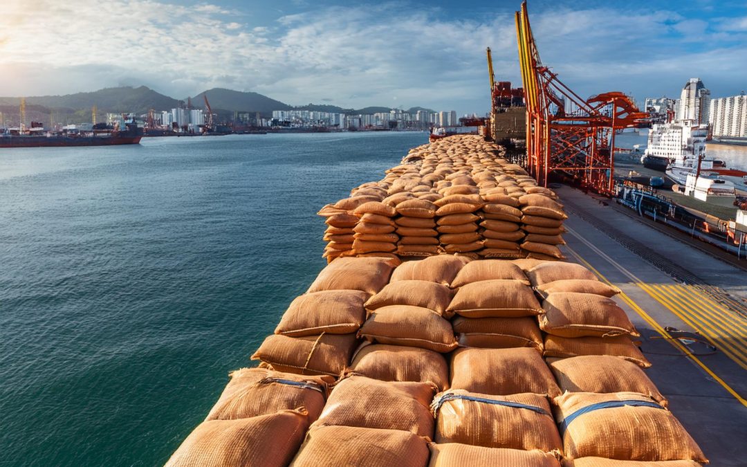 Gargalos logísticos impedem o embarque de mais de 1 milhão de sacas de café