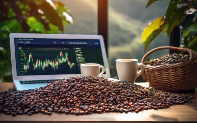 IBGE estima queda de 6,8% na safra de café em relação a 2024