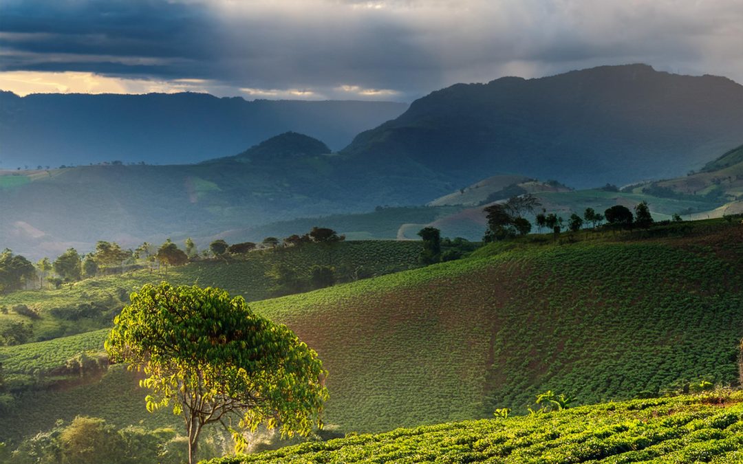 Clima: Retorno das chuvas no sul e calor no centro do Brasil