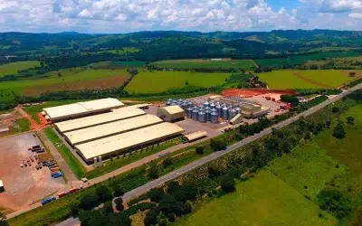 Cooxupé conquista reconhecimento global em sustentabilidade