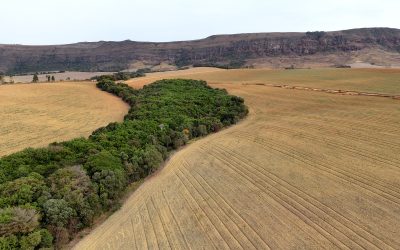 Agricultura Circular: o futuro sustentável e rentável no campo