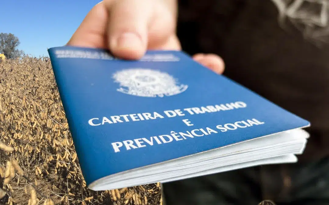 Agro brasileiro alcança novo recorde na geração de empregos