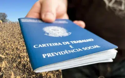 Agro brasileiro alcança novo recorde na geração de empregos
