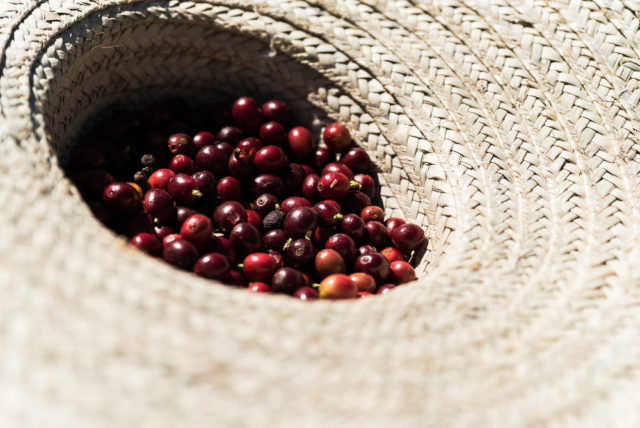 E57_RSM_5605-e1522774909474