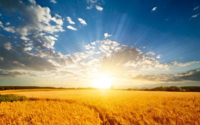 Dezembro promete chuvas importantes para o Centro-Sul do Brasil