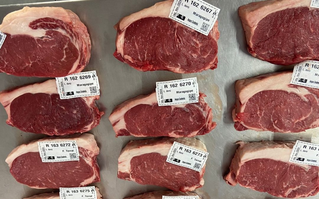 Bovinos: pecuária gaúcha ganha estudo inovador sobre nutrição e criação