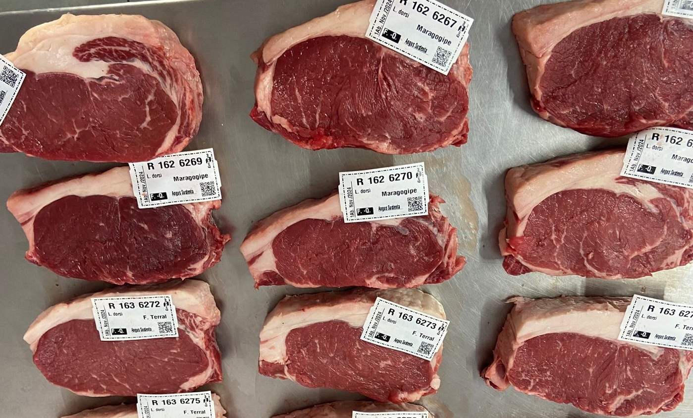 Embrapa_carne Foto: Élen Nalério/Embrapa