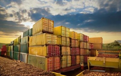 Exportações de café do Brasil crescem 38% em 2024