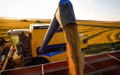 Brasil registra aumento na produtividade e área da soja
