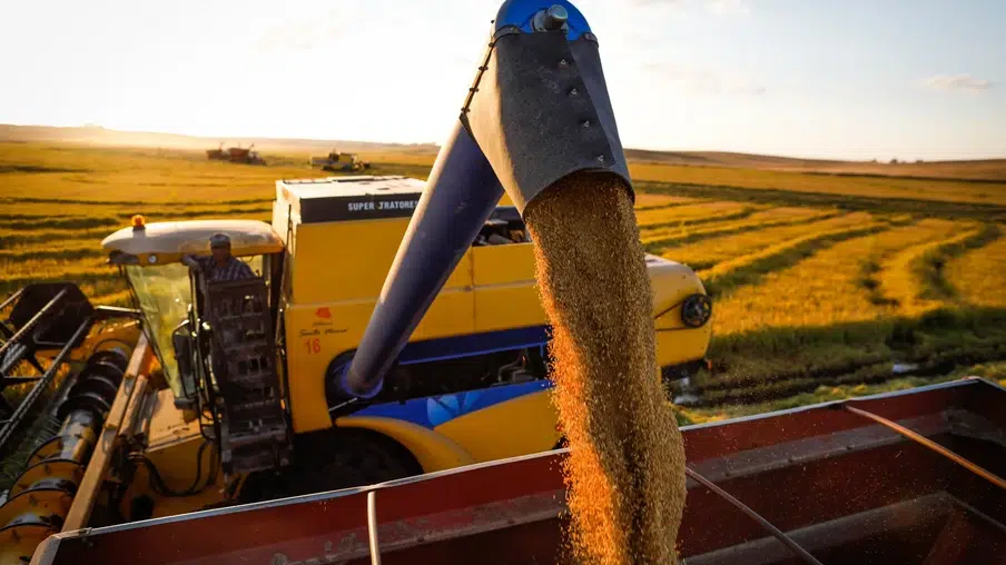 Foto: CNA Brasil/Divulgação