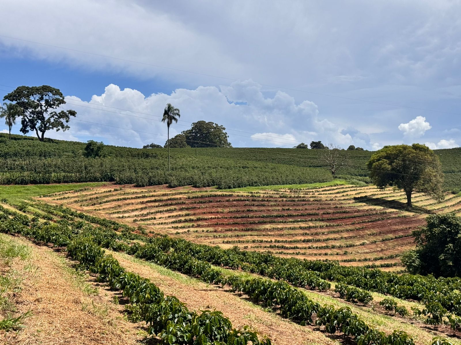 WhatsApp Image 2025-01-09 at 15.09.10