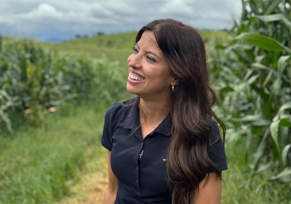 Produtividade e sustentabilidade no agronegócio brasileiro