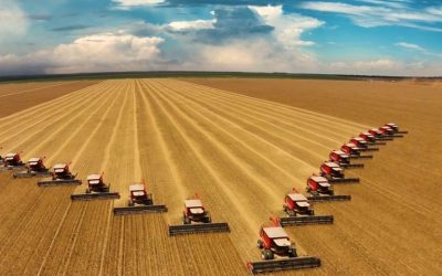 Colheita de soja avança no Brasil