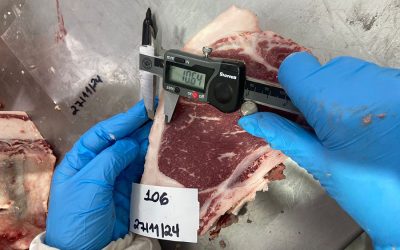Pesquisa usa tecnologia para definir a “impressão digital” da carne gaúcha