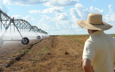 Oeste baiano se torna principal polo de irrigação