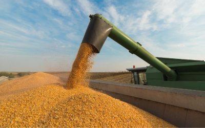 Demanda externa impulsiona negócios da soja no Brasil