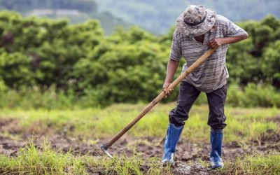 Cresce o número de pessoas empregadas no agronegócio brasileiro