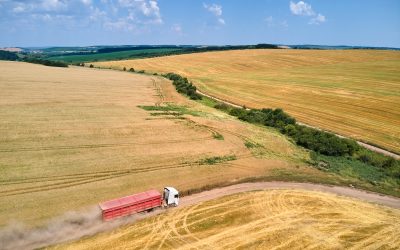 Alta nos prêmios de exportação limita quedas no mercado de soja