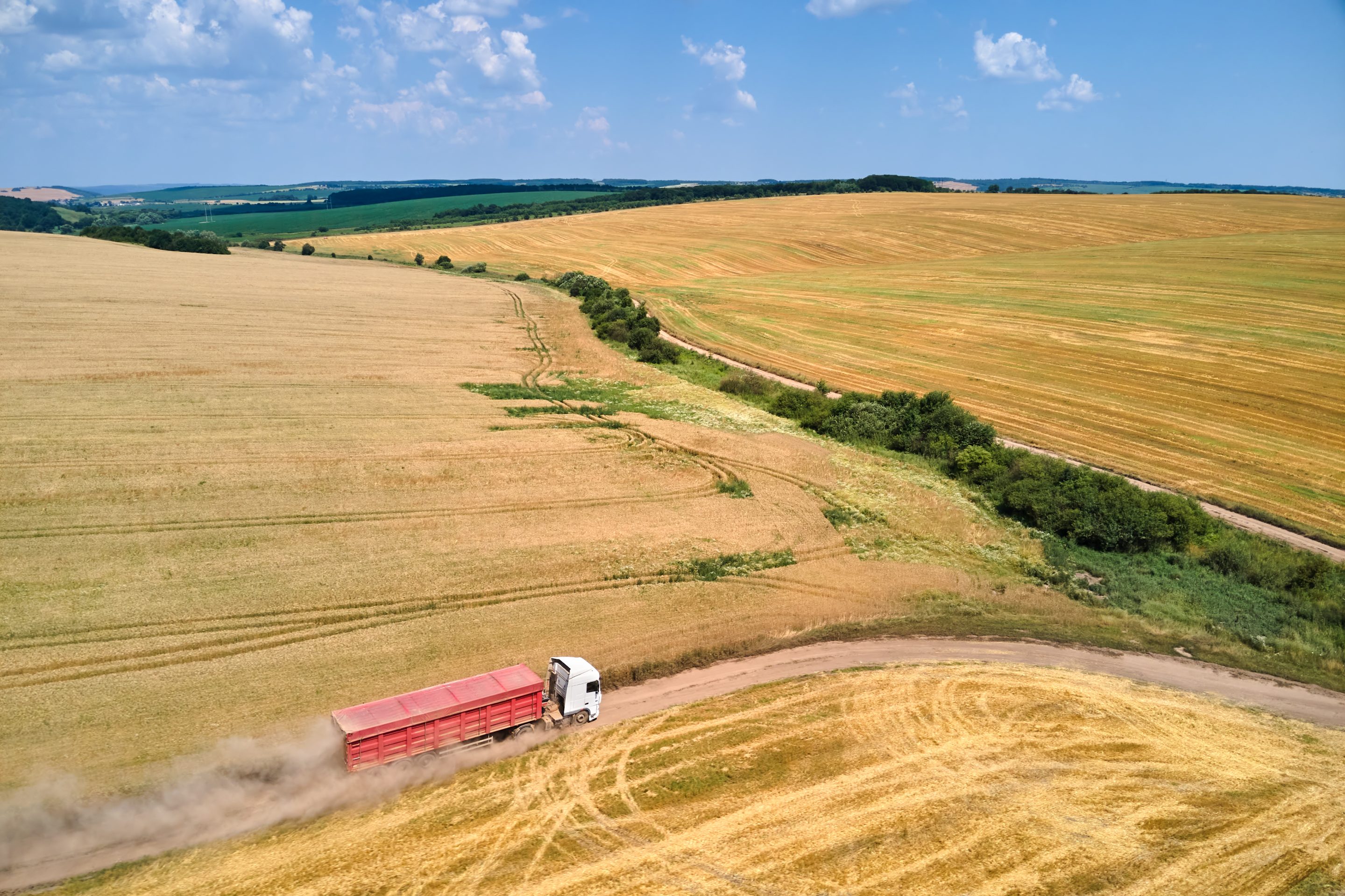 Aerial view of lorry cargo truck driving on dirt road between agricultural wheat fields. Transportation of grain after being harvested by combine harvester during harvesting season